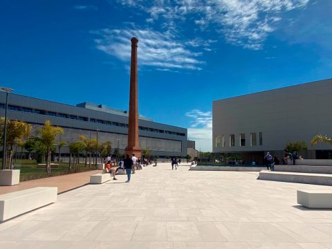 ¿Cómo saber qué grado universitario estudiar?